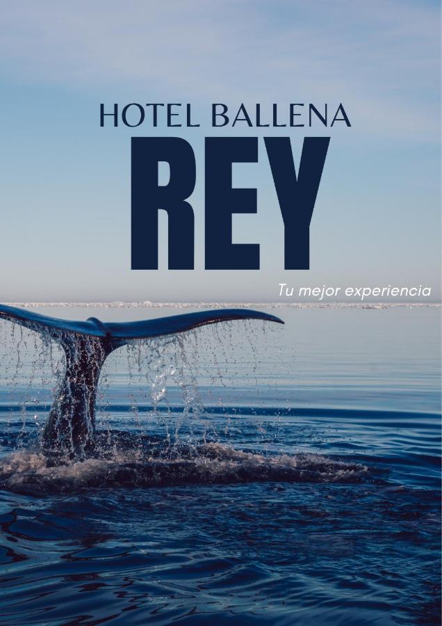 Hotel Ballena Rey