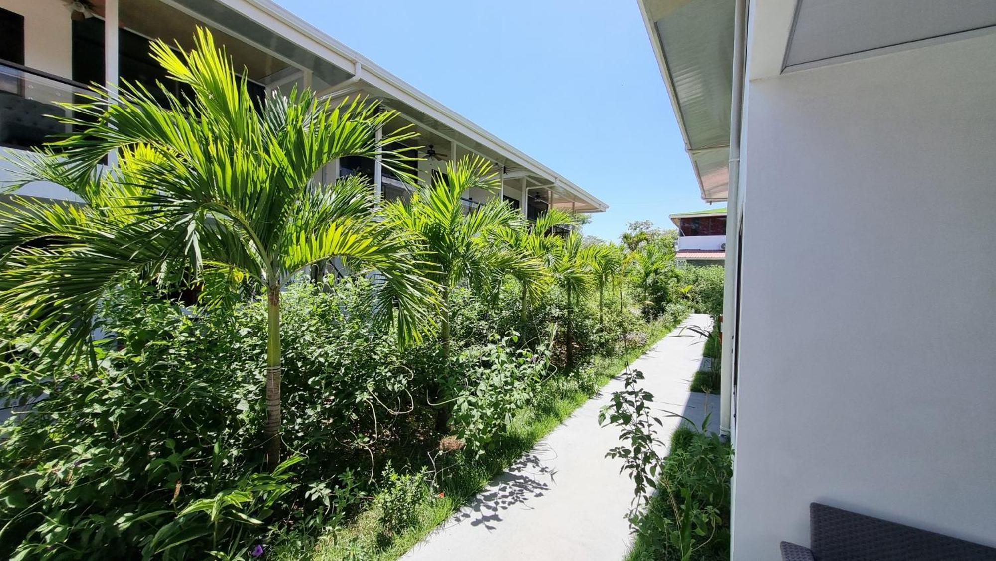 Ballena Rey Hotel Uvita