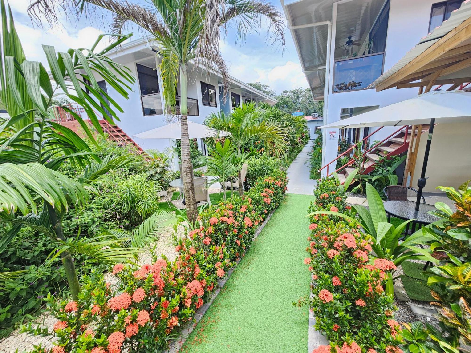 Hotel Ballena Rey