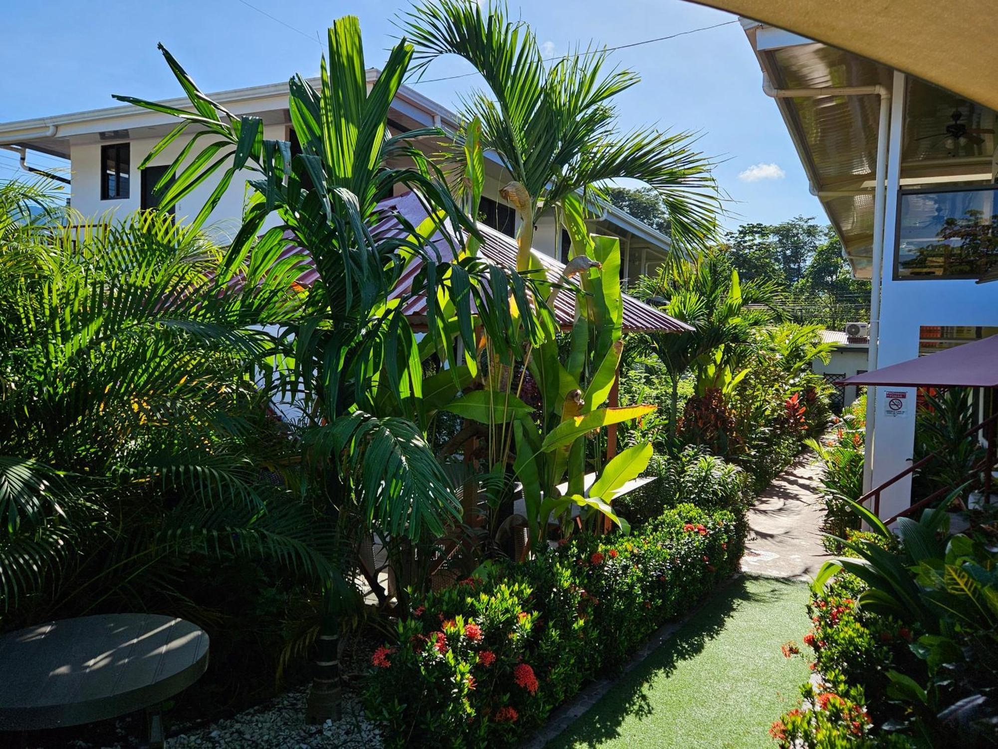 Ballena Rey Hotel 4*