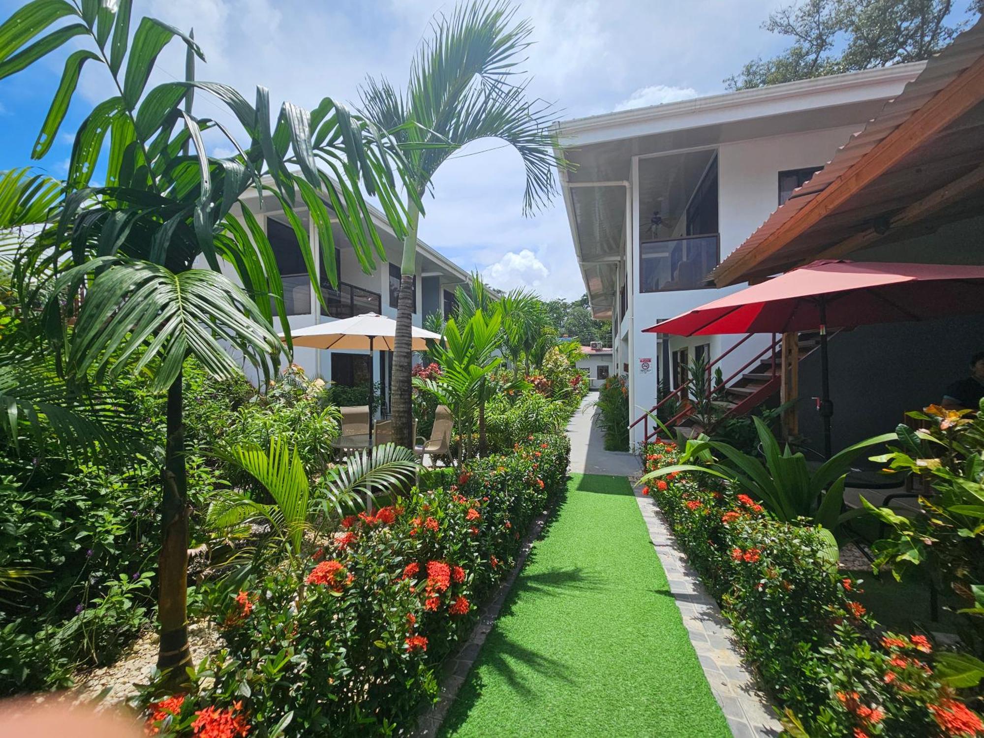 Hotel Ballena Rey 4*
