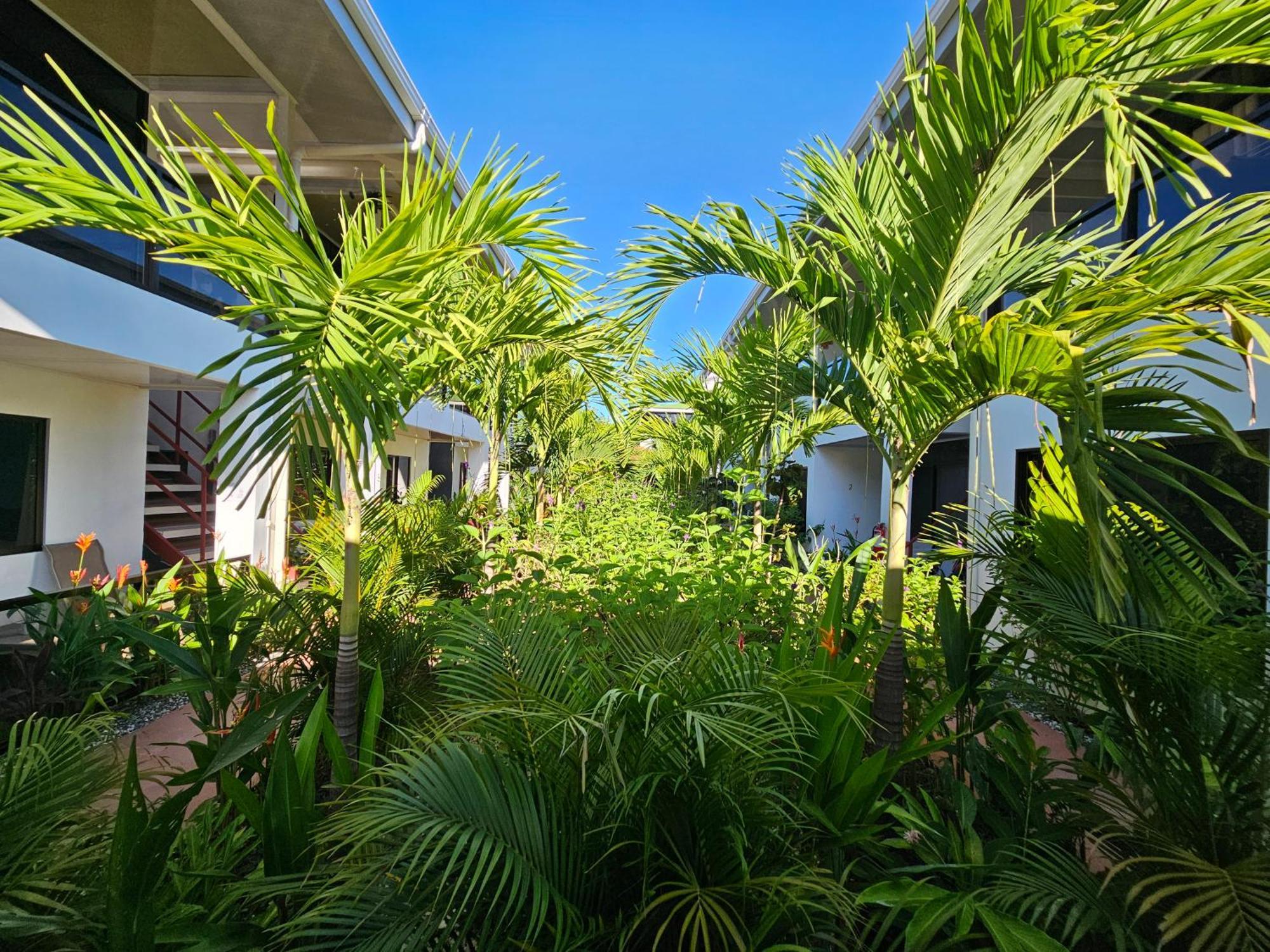 Hotel Ballena Rey