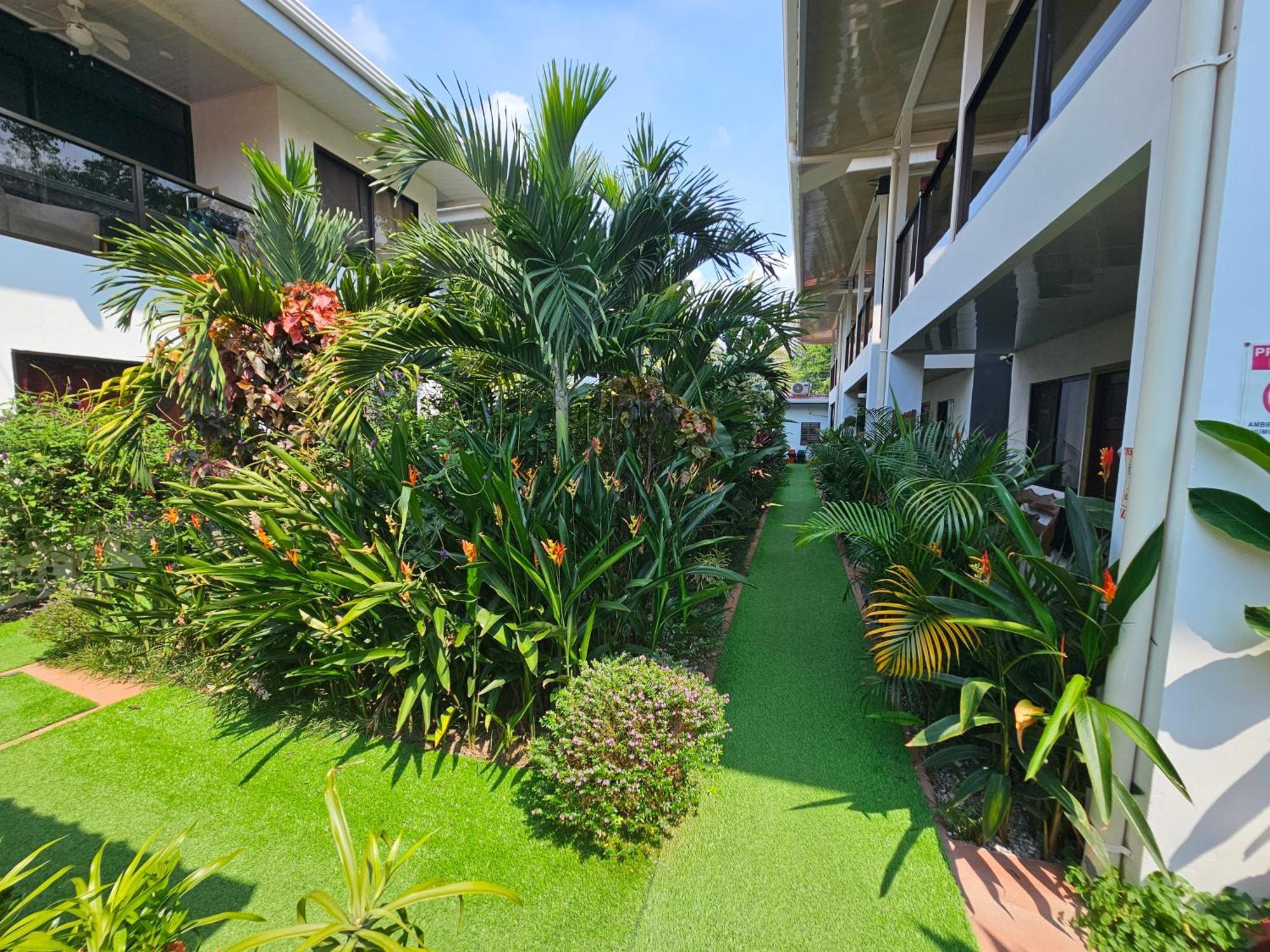Ballena Rey Hotel Uvita